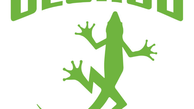 Geckos_Logo_Color